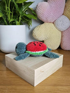 Juicy Watermelon Turtle Crochet Pattern PDF